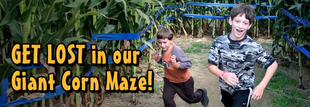 Giant Corn Maze Adventure