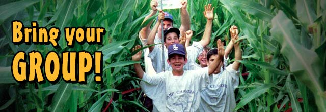 Activities for Groups