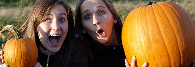 Pumpkin Patch - Dyer, TN